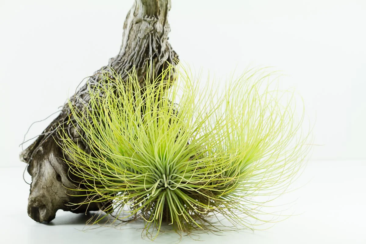 shutterstock_307321748.jpg?type=w1200