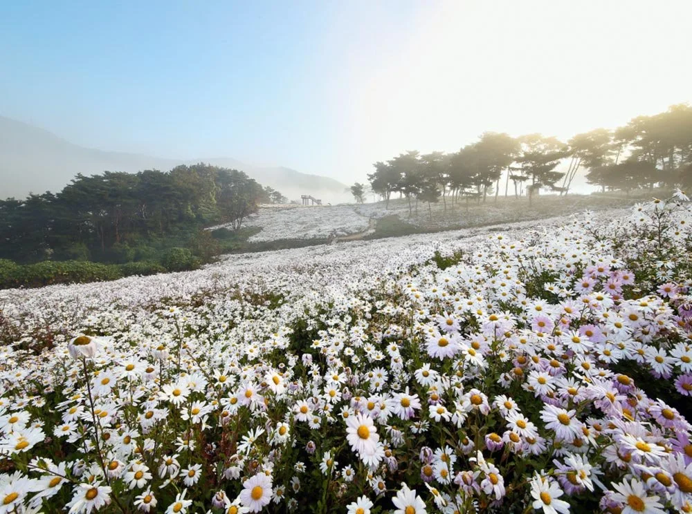 sub_04_01_%EC%A0%95%EC%9D%8D%EC%8B%9C_%EB%AC%B8%ED%99%94%EA%B4%80%EA%B4%91_%ED%99%88%ED%8E%98%EC%9D%B4%EC%A7%80.jpg?type=w1200