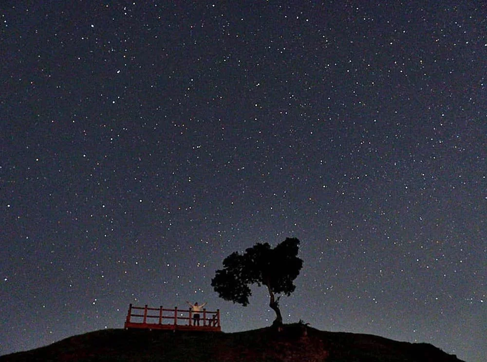 sub_02_02_instagram__tttttaylor_.jpg?type=w1200