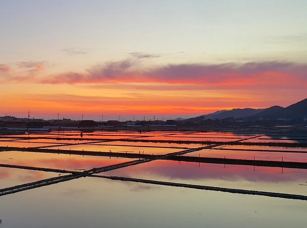 sub_01_05_9594jh_%EB%84%A4%EC%9D%B4%EB%B2%84_%EB%B8%94%EB%A1%9C%EA%B7%B8.jpg?type=w1200