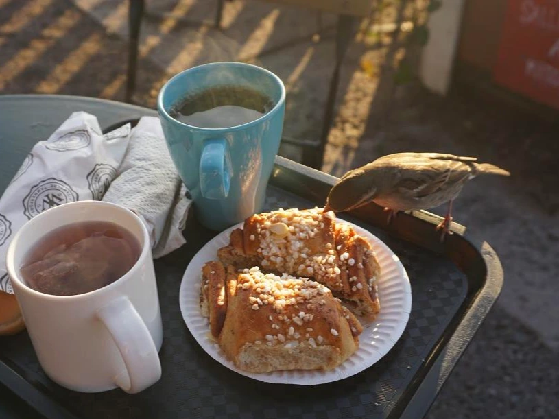 rP4VuAWaecPKOFdhjYFd4Q9T4lc2PbHmxcPGC9cmkuU56ox5hKrDUv_bnSnMmodFSts7gd1JV_wHlljBSzzqs1bpUrw9L2aU9OnjIjj2fS1Pg_nFs3KVL1JNXNVqEwZXfj5OsA__ofjJp_Ktq8Fn9kDzSOyChJ_NeC-qWUJH7PUQ318phL7SYZdRvMkvyPM54sDnSZLa8xmQ2DAXhBPcSYh7aHVWGcWdldVu_tYQdfp4QkwpDmZtvA8sQQejocPpgBJ0IcXWNYaKQScLbrNlhgkkEvaX_ywN2AW3CmXeAUp1o55H_loGFmGHdndHYP-14j2Np_Cu4gqniWMYI8ODdy_uJmppN0CSfVD0Kcfg1o82r4ASbUK-p3_j5KdWHwqzamKBeGXtq-dvXOMLnlIV6jxI7LqA2mg2cub3-yg8Aly3Q2rzXgFdcs43DnZyjFYF1hIWLFOEx5A6L-Gtn3RyZhwXZROUGj5cFo2xW75_oqG-lx46Nhy3kCDh-Ep-W4GDFfGX7e432mnlou2Vx7FfEu_j8kduCrqLGvta483zhPJUoxfvK1Ok5HNU-oIwcy44Rd0IN8zfMB5RmqAB1XZ0reOP5RGq1krLqW-AcB2wjzXHGJiLHuCzzHVRoUyytqqsis9S173H2aGlx7tauBzSA2vaM_a3lt9cZ1qIFqf-SxHiQW8B2lLgwy0-UCLO_pp8EDTVczPPX2L1vObUi-3EkOFOTqqpEr5VB6ZMXthsgek=w1712-h969-no