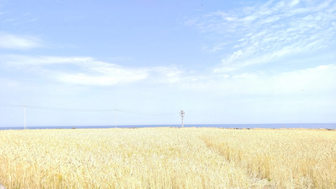 sVusNjsFjtqfXXOFrVfpKQbDDRNbaAMDkP-XwXaS6GTrWdnqFJ3m5FATExXvsDzw-FpiSKaQbN-GzvmKhIOm4YiYusXkfF6fJdKTMO3fifmVlQl8xgQYdzvK_s2nn-TbhFPimqSpmn3DJ4eUq2LD_I0hklsJWene_Rm_WSUkbY0hBdXWwALSYwTCmPlWnrkQHb0GLeQtDXTCrSw3f85ha_OTM9M_jdglju-E2FygJVU2jJvt_GQRl6FxFVHzDTbZbXl0tEYFZKZKVHVk8iVPbtyLMt6SppGH79DN4dLHM1Miv54uEjc_MWi2HIOuo87L08DJ5a4YmOELMXjfdbHSW008tc8EjtfcAIs0jwVbJMyw6lIyqt5AQlK68-dxPpjiY88U5EXVgc44PfnJMvJxfGotMmreqA5S9MBou0w_0CuS41pBQ0I1avMQTQ1tD3vB1Rk4xwJplsxCIIsoPgO3SlRd-JHk73eEAGCoyBjun4v5FXnNFYHRjwfbhzw6Nj3nE3UpRdH9jtOG3ZfvCs8a15W2Jgm3CvyhlfAKRDXsz4clnPbpTGjl25g-9iYMm66f4A3xWyD9DG_J9FjbLc6wiMIfQu5oknD2-Sl2y94yHDnAmto=w1177-h662-no