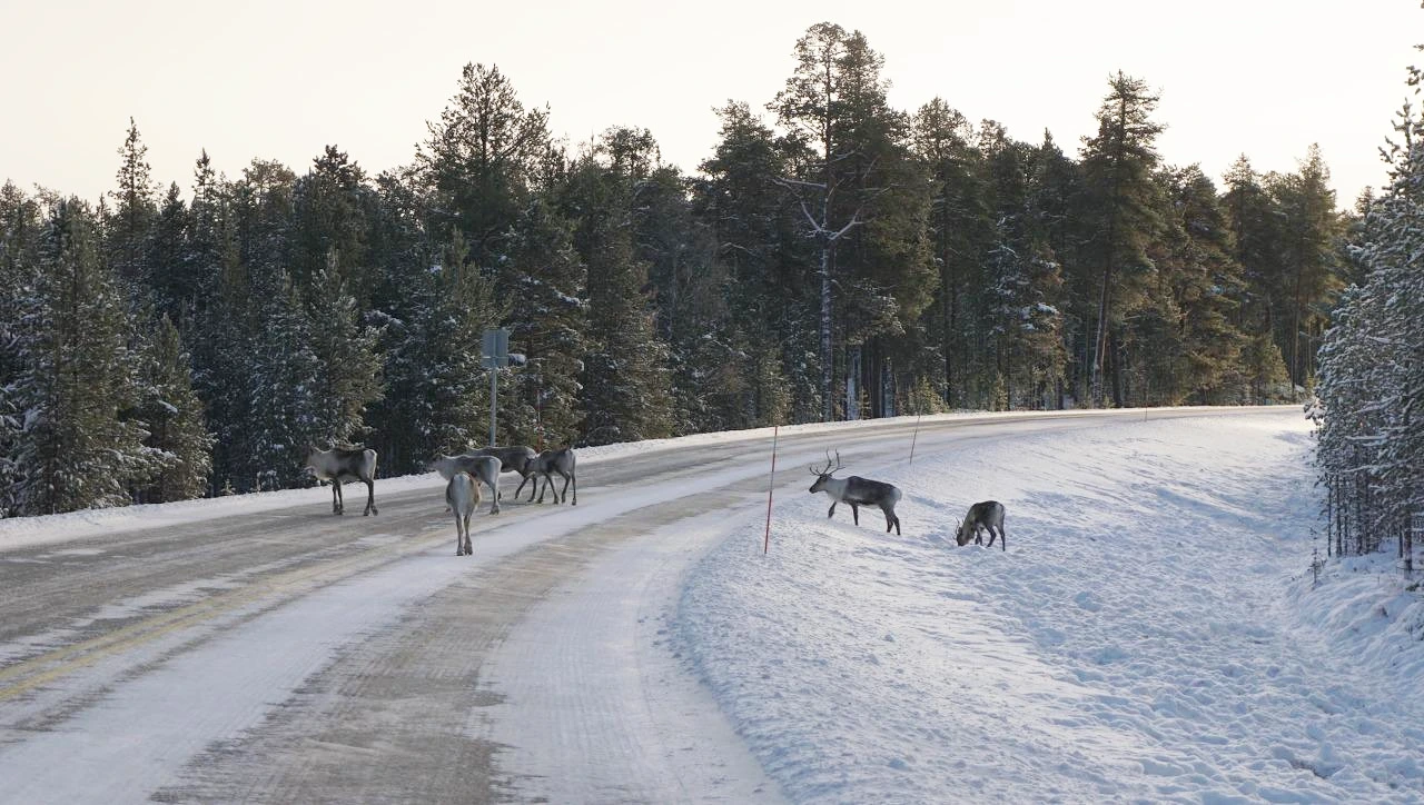 KqK5_mk08hx4XAsRRsdYfZkQNT7vWGnFtg1kDN0GdKgv60Ty-BGsm97kuHFfK4Joe6GeqGq9hSNqDuEJLxQuGCdCFJJxWzWjlR8hWlyjv64aq3lUpmX2bH8gNY0cwMVcNHdouIU4lVmelb7qlqAjDQHhSgWJ7uLQvFWJyEbR1W2pWX6Jugy9EAbKOSz0mC550BAlhaBvXfmvoVX9ivjVrTsyfrD8U8bYTRZ2TbsGZkIZQL5mkzX9HbmGrdQiaKogHAExcpDaqBK6-w3dYIJkpbXfcqfXr9VAgIkFO6vdzmmOVf_xKBHY7gdm3U8c2o9ZNKZlPpeDKxnk8BBg3XdWH36axV5XaR7eHRYtdHRFhE7nXTAxQP-QoftdX5CV3WJSfE9ezWtXi2IRDL6a3YYdAIj8nijMpuxoOg-G5XjfjDPTFttjg6_QMYs-C_qMsS_VQcPMb699Y5FQaK2I-gcF8r5QrHYtw0tuKAXoAcYNCXsnIPcr9rKLQ8nN9F6aPw5Kh6Vfmng0UJmRaajE18e7nNcQYMKK0TgZMIs1KQ6EeERTVK-ePn8Md9RkoNdJoTUEResDJIJ2n6aXv45pLLy7fDjw462llzA4hLahuOJodAMD5_u6u-kmAJZUFTle6t7i4WQCJetUKtA8F2YK9Rp9W9EQ1rBwAtcxIRFKNZmcV2X8gMjDVQKdTASTF0jJGAYqkFooSrwBLLLil7cRjwZIoa50ONOcEUBedxMU-ErJjnM=w1712-h969-no