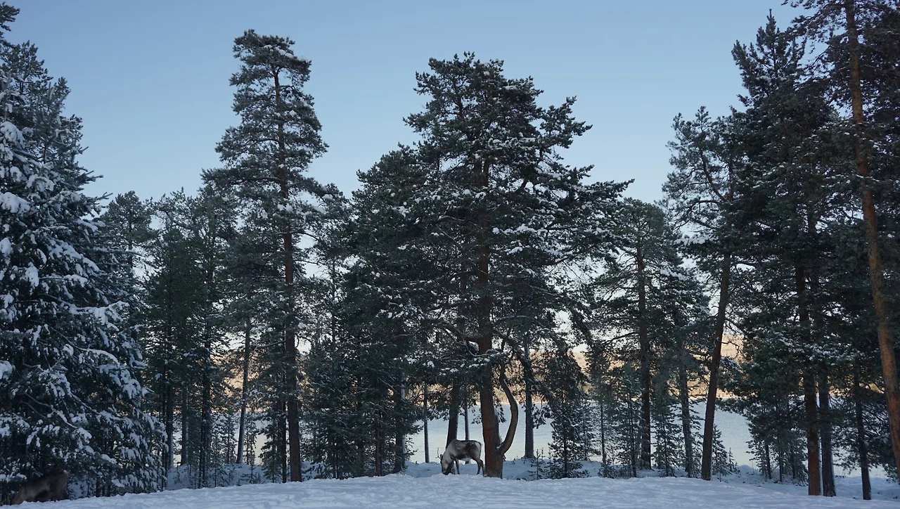 T1xeq4gUVgS-8SsVRXfMri3dmjyn_Amm4AUUV6yCAgYle0VFsrq8LSw-VkDFQQa6j7R4TDtUpBX_5_H0llWyPRrAXsf3caeAeN5ajS1ja1XrTrU6RLcE-xIglPUl6N5iidiTNgxvHszf_yix2PA65LdQjpLCgK0assKnViMBqvV-nQgRud1I4uJnnryiekLh-seqlD1Pgutk2v2AqNPjfXFhL78_UGGMoxVlRWwoibO1QVmQWRTEQFUKF1JVqd-3nTZDCiCLnFP2FvJnpB8jrQQvT-cu7-FgzXyOHWxJWff0HBexvg1E0-ynNd4PnQtSjgEWaBt_uLtAPc3tr9rBrT-1GZEjCf6S_jmHpQQMmU1T_7a6SkX54Wc5T0HXGUVxoFzyc9Yu8ubq_yAYms-SoAfoKCXhFE7lxc9f5hGPiGqdi5PB-JY_-dEAUPGTLsN_3QIqGcEkIFH1ioK2jz-sW18M6lpcvru1fZN-iDVJ69mYHtJo7w3M4kSsD7sNTv69W7GyoHqzeOlnLSdRv13JHf10sf_0IThjeIrN3Ed5f0s8tnlOsFmdCnH0g0y2Fcp936-z-JhqXybq7Courz2W04_a4xDEOHg5QpkH3LOBOxu-X04fSabLIEiqoudAo9XczakeC5g85pQ9CBuz5QGSunhGBNKjieyvIeR3YenOZ3AOySpg-Q=w1712-h969-no