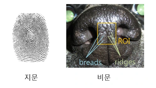 %EB%B9%84%EB%AC%B8.png?type=w2