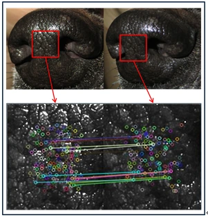 KakaoTalk_20170905_140121383.png?type=w2