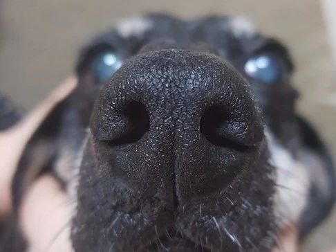 KakaoTalk_20170905_002956972.jpg?type=w2