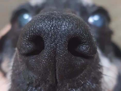 KakaoTalk_20170905_005219359.jpg?type=w2