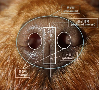 KakaoTalk_20170905_140122015.png?type=w2