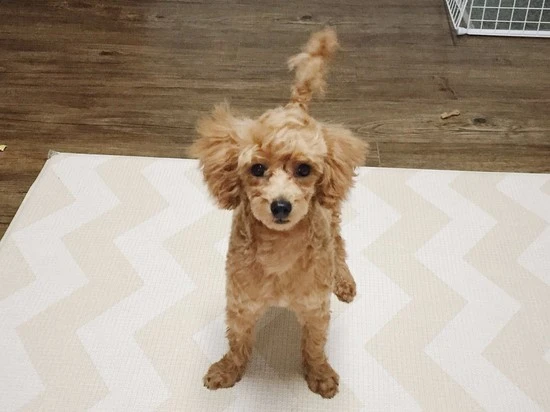 KakaoTalk_20160622_191112010.jpg?type=w2