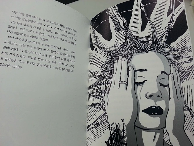 256211355194101E181E56