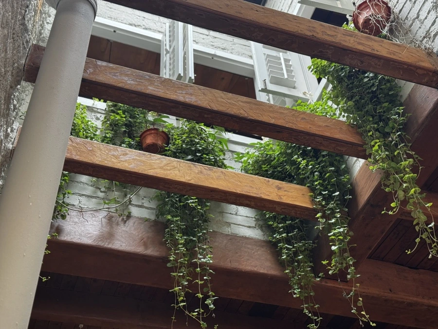 IMG%EF%BC%BF8402.JPG?type=w966