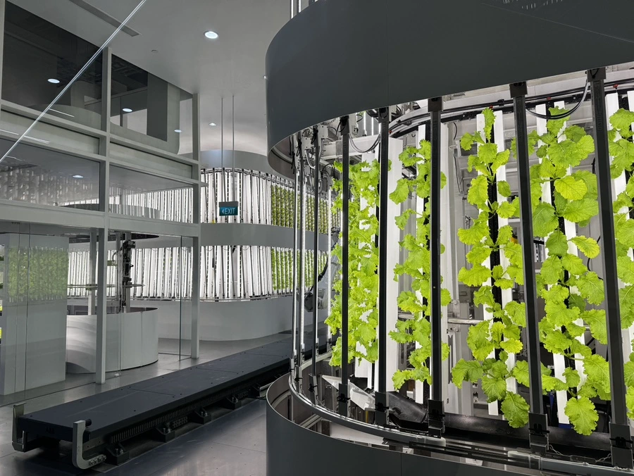 IMG%EF%BC%BF8424.JPG?type=w966