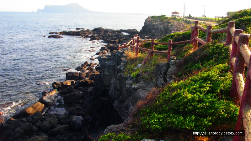 240E48455406A2B03643BC