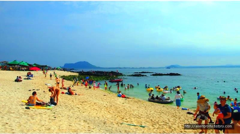 2770124453F45E773BB294