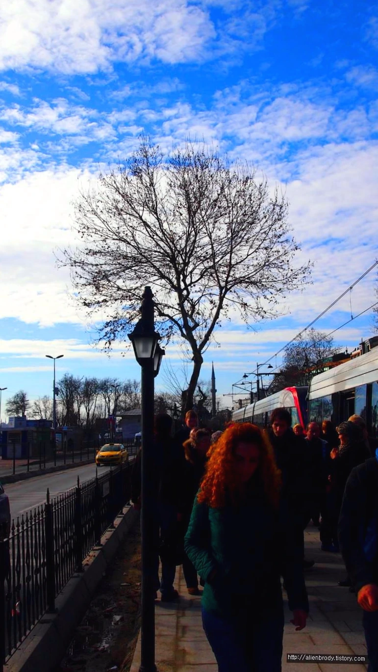 236A994C53C7DD192F09E5