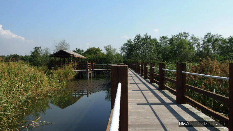 275D303754B631AB2F3C02