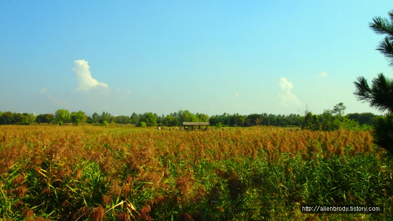 236AA93754B631A6223879