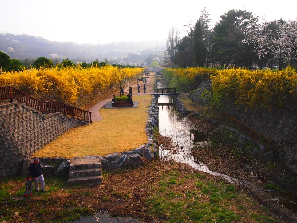 2_P4085897.JPG?type=w966