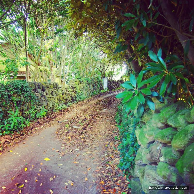 21319F4953EB7AEE20EE4B