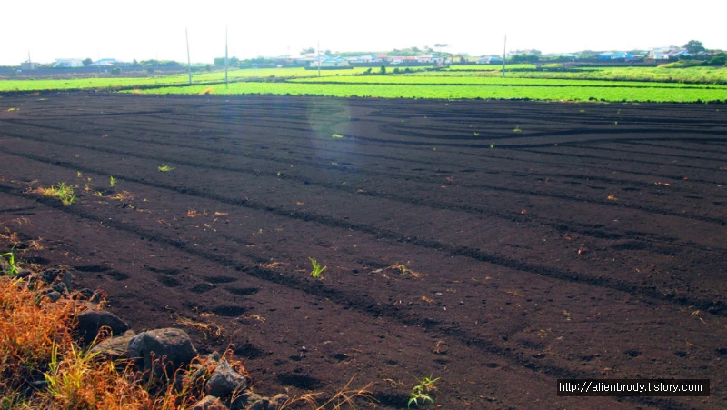 255C70445406A3351EC050