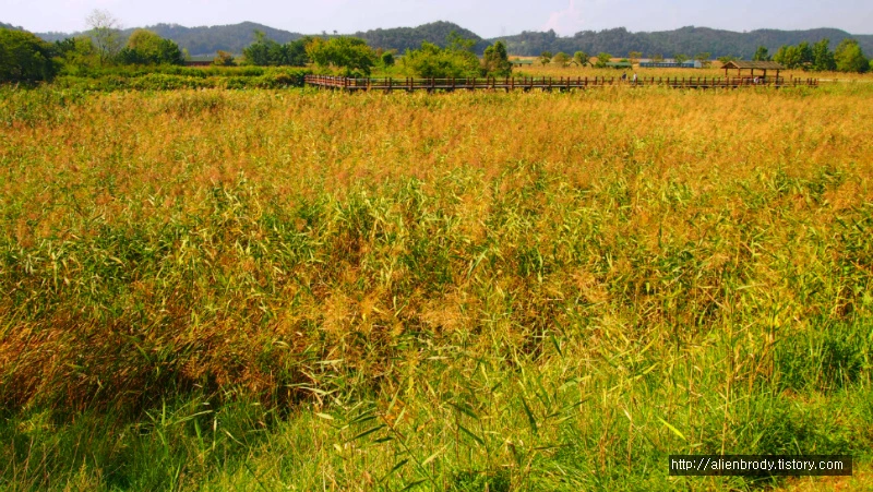 21584F3754B631A73133C2