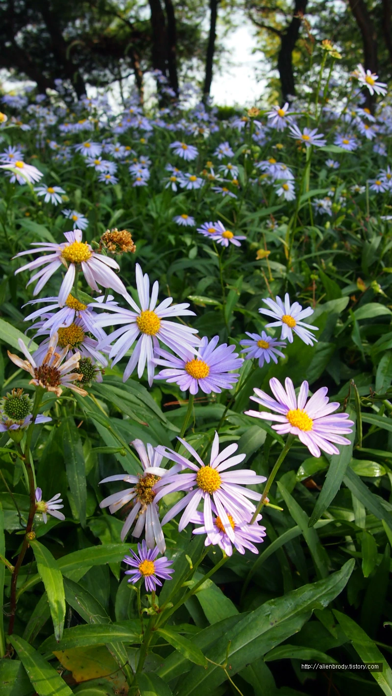 220A243754B631A106CFA5