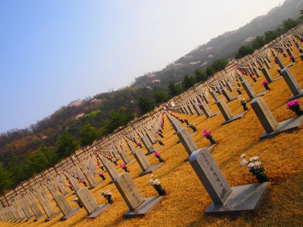 _P4085901.JPG?type=w966