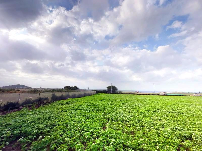 255F5E4553E61C5B1C9E83