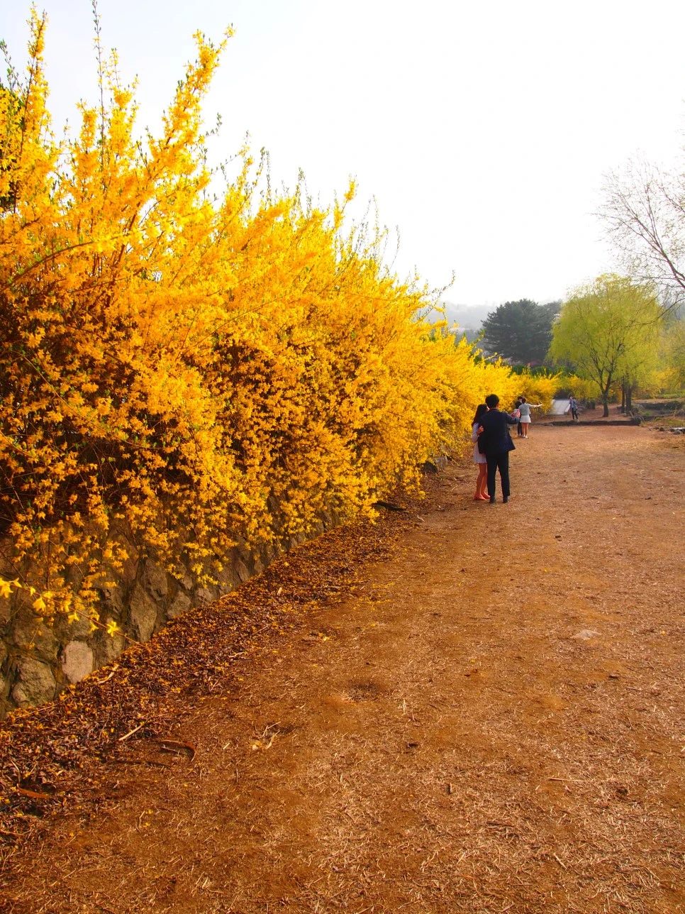 3_P4085907.JPG?type=w966