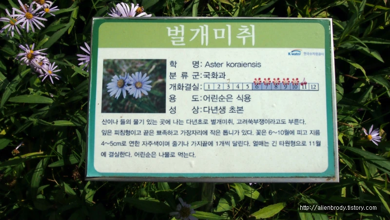 2307F03754B631A20703A7