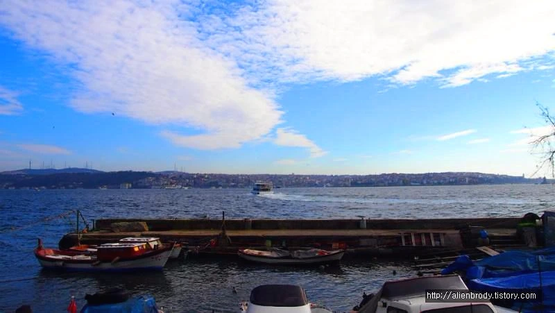 254ACD4E53C7DD2033997A