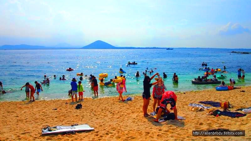 2476414453F45E782EDE4E