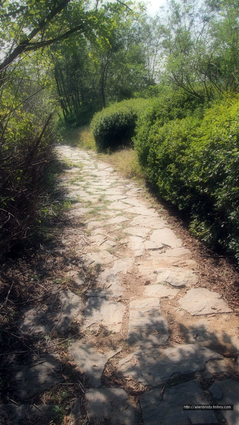 2759DE3754B631AA32158D