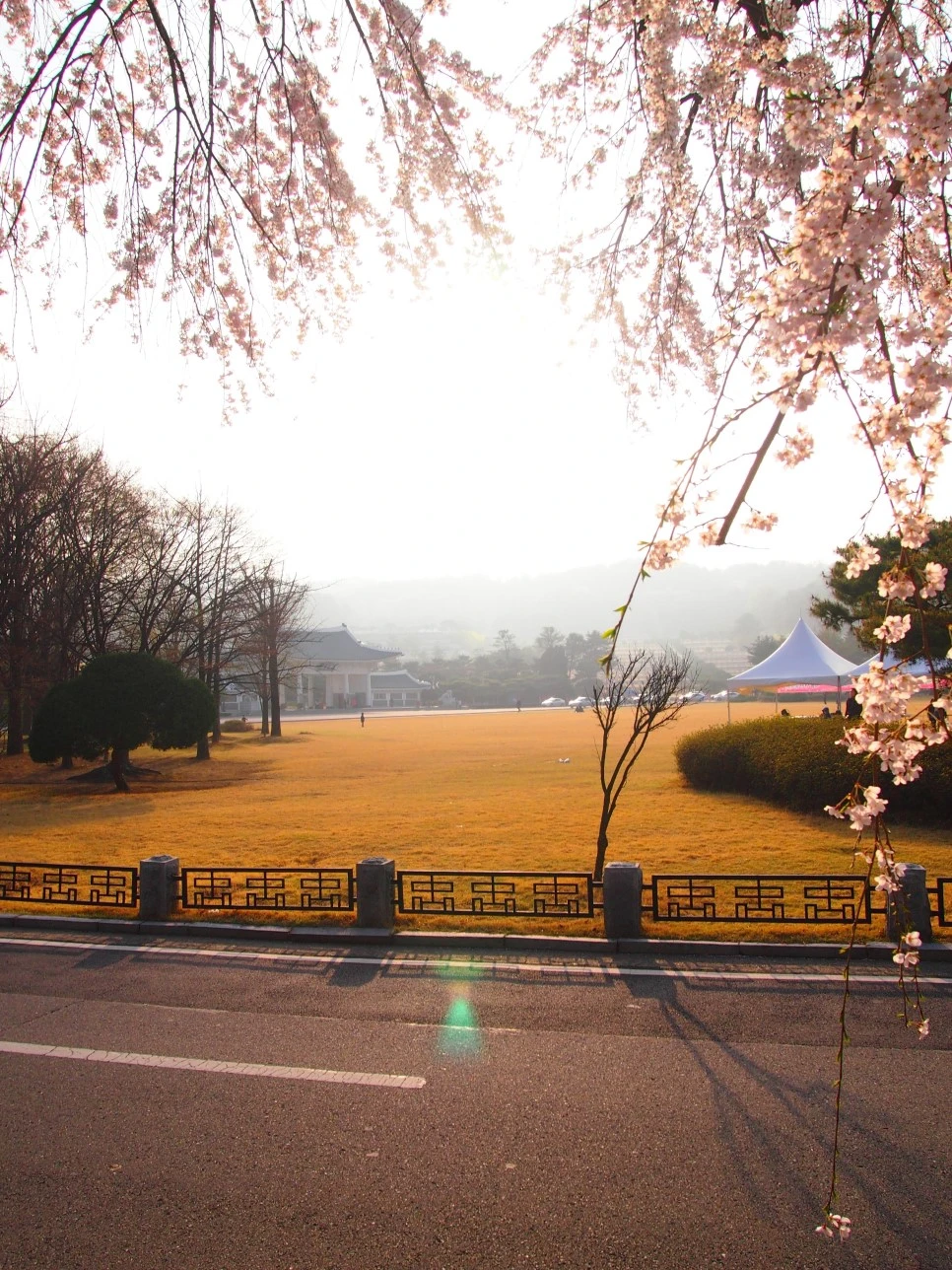 4_P4085916.JPG?type=w966