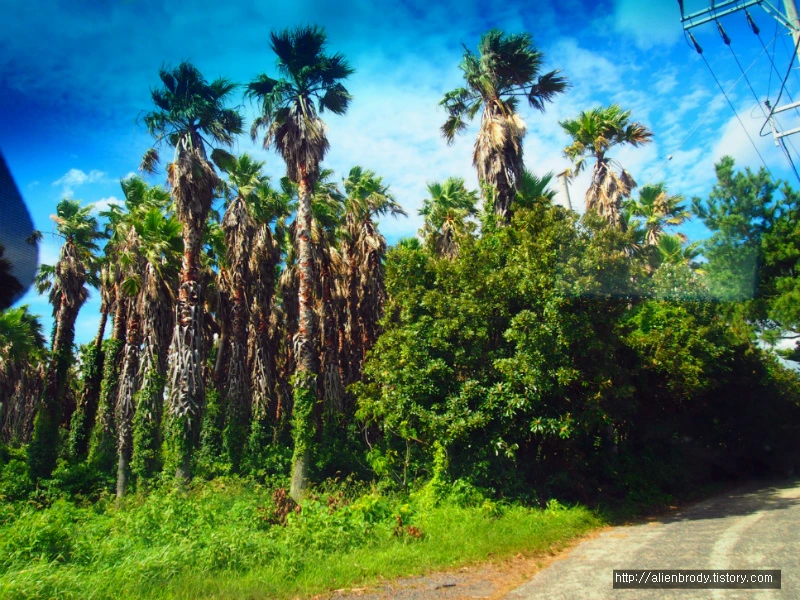 262B654953EB7AEF305F75