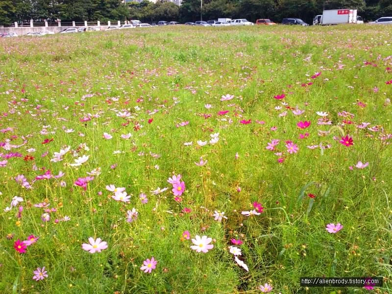 252F8B4453E61C400F2227