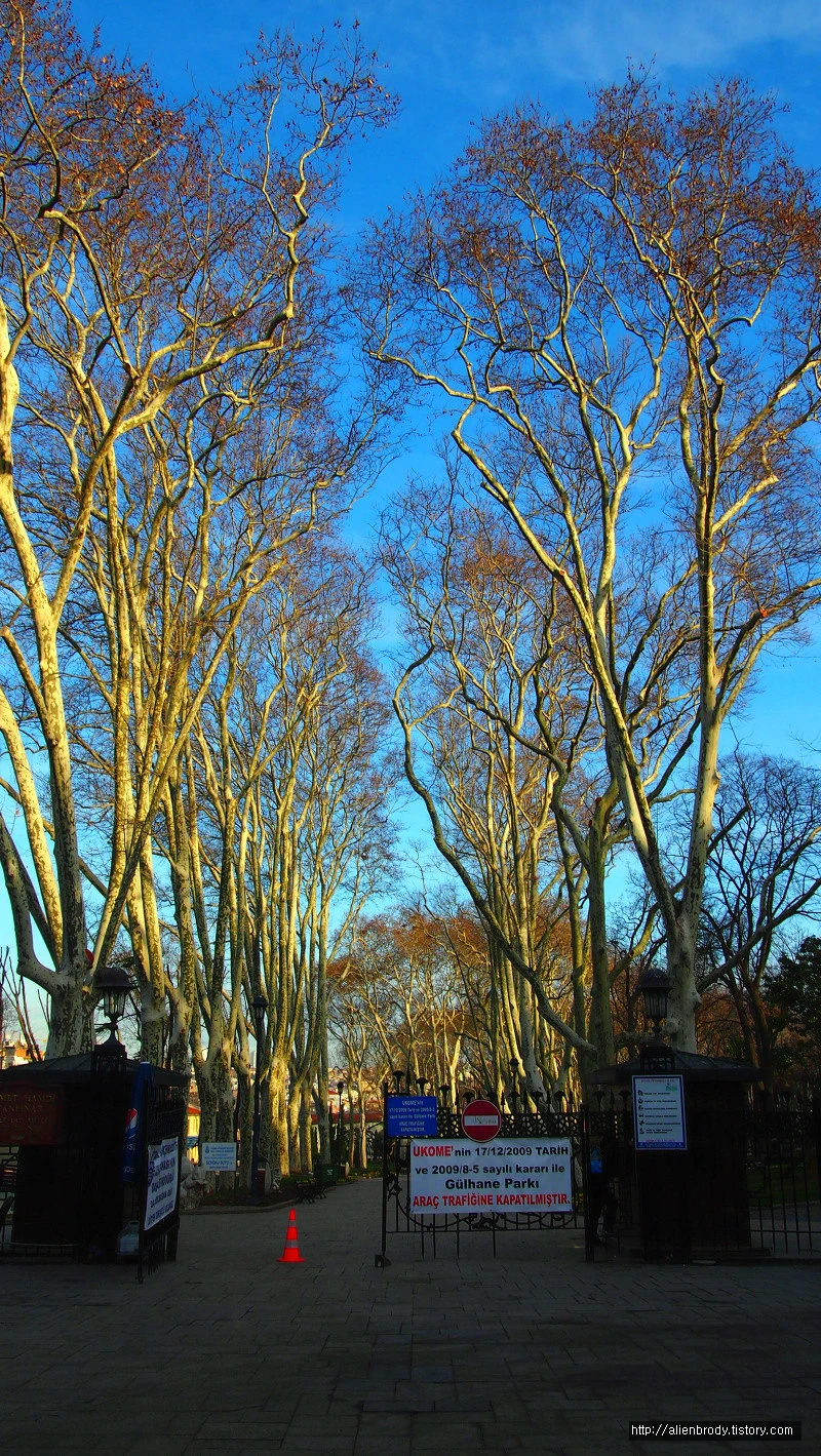 216DB33A53C6A84B11FC2F