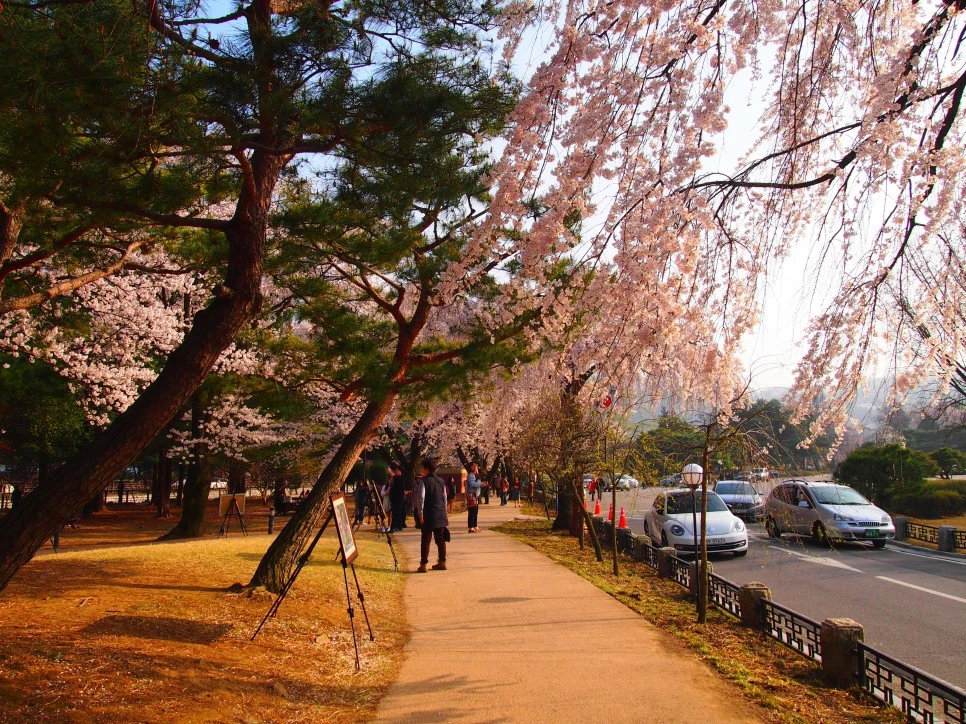 1_P4085891.JPG?type=w966