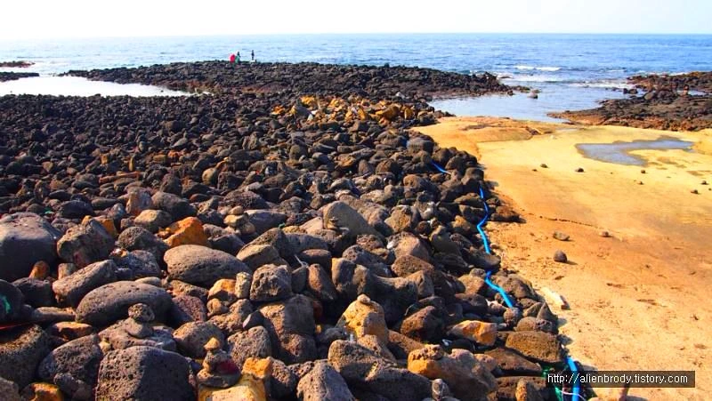 27787A4453F45E79299026