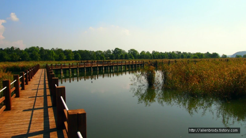 246DEC3554B631AD1A999F