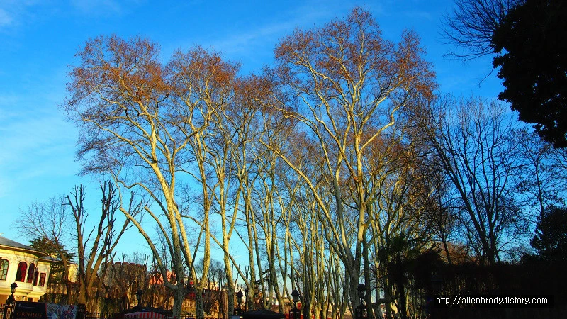 2635F63453C6A854186EEF