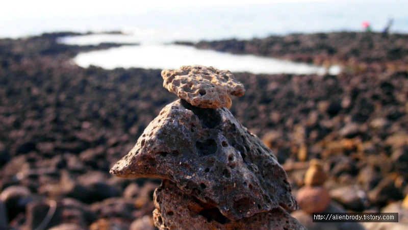 27799F4453F45E7A27BA0B