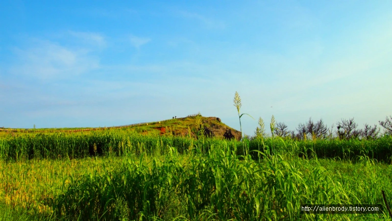 226D9D465406A2A805C574