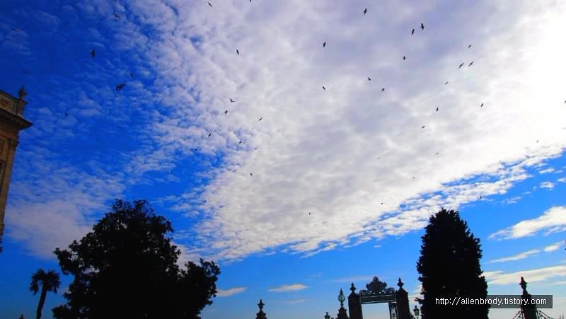 246AD74C53C7DD1F2F3021