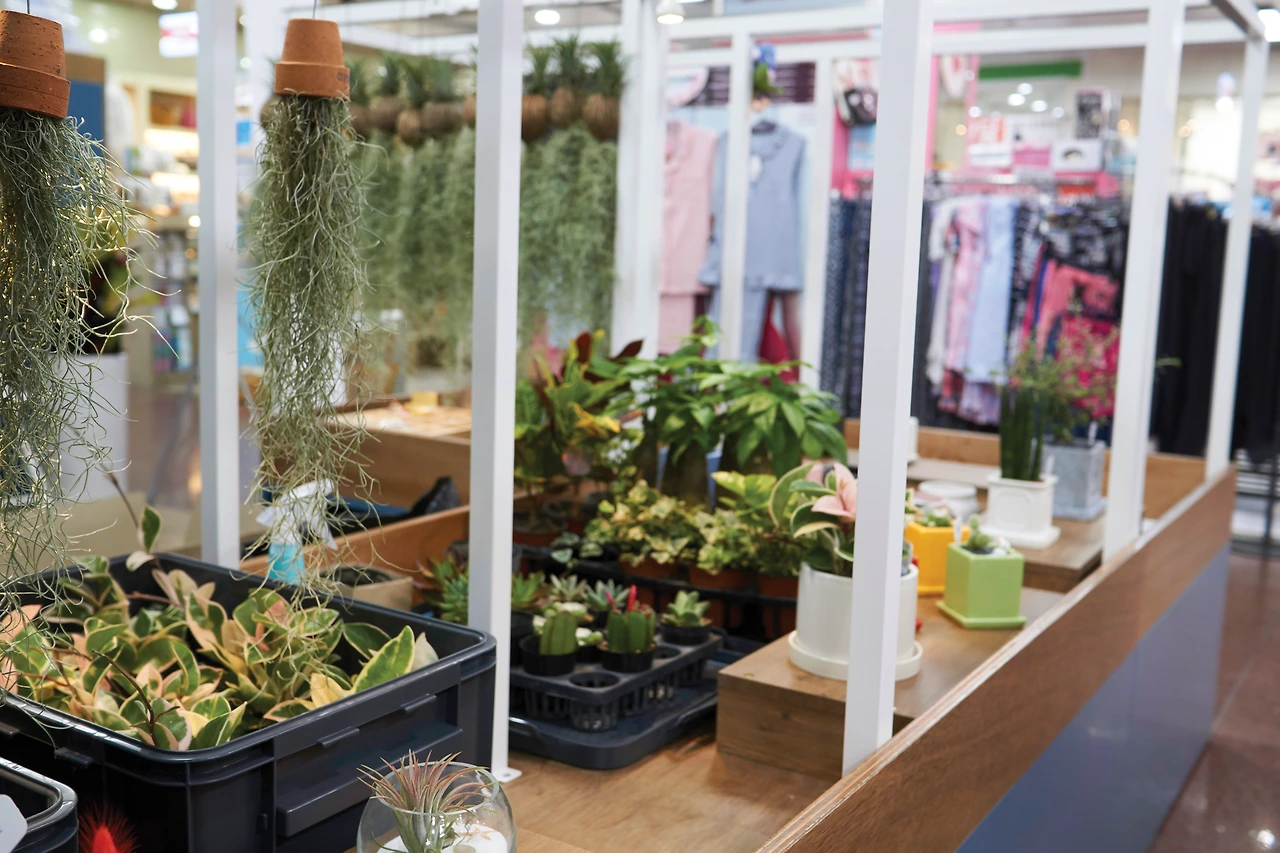 DSC00298 copy copy.PNG