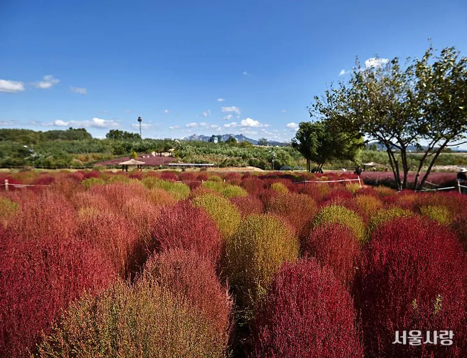 201811_05_2.jpg?type=w966