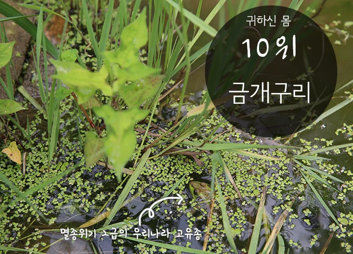 mug_obj_146347592649077316.png?type=w1080