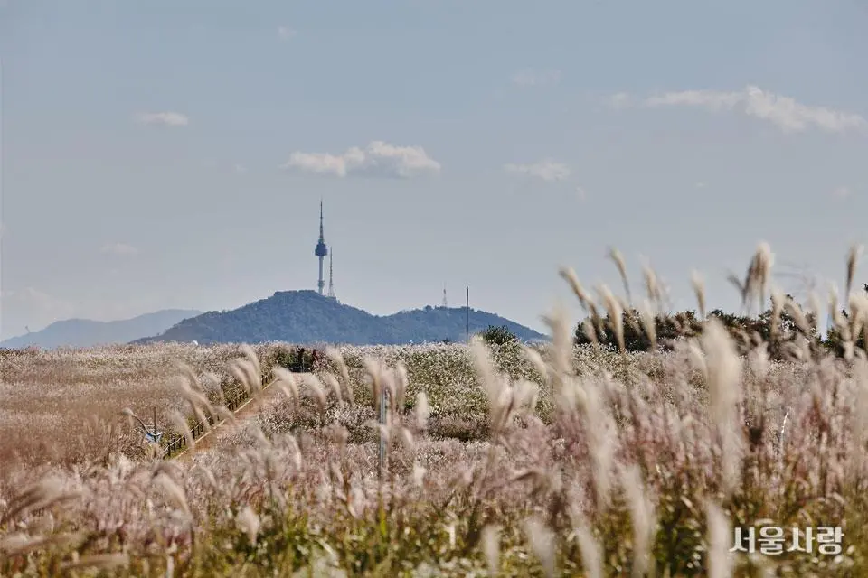 201811_05_5.jpg?type=w966