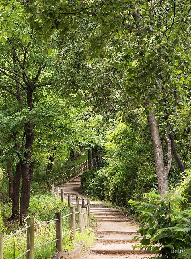 201810_47_2.jpg?type=w966